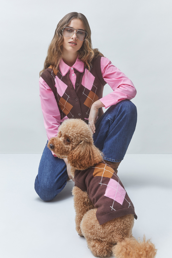 ALFIE Coffee dog jumper