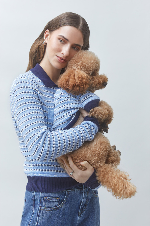ARTY Fancy dog jumper